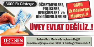 Sadece Bazı Meslek Guruplarına Değil, Tüm Kamu Çalışanlarına 3600 Ek Gösterge Verilmelidir.!